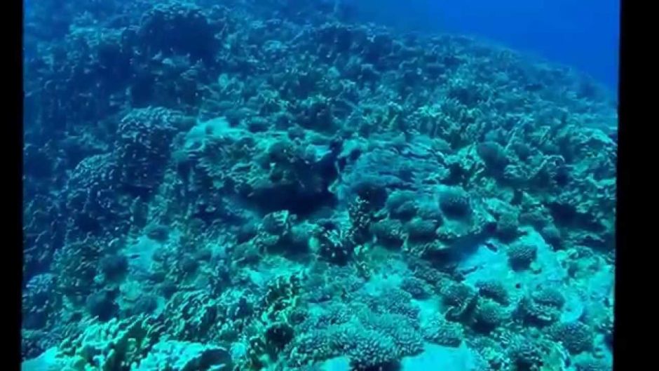 DIVING - INITIATIONBAPTISM ON EASTER ISLAND, Easter Island, CHILE