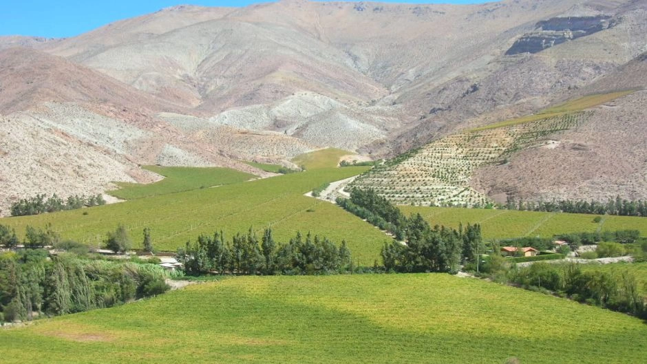 Elqui Valley tour, La Serena, CHILE