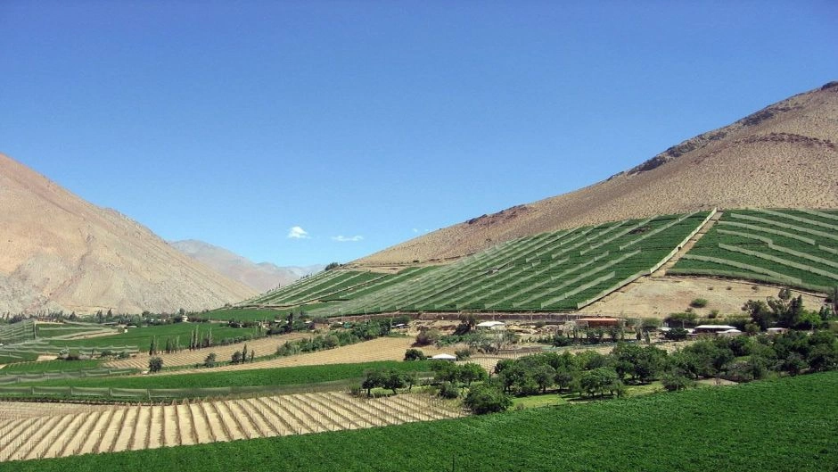 Elqui Valley tour, La Serena, CHILE