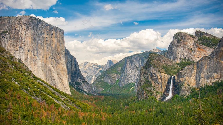 Yosemite and Giant Sequoias Tour, San Francisco, CA, UNITED STATES