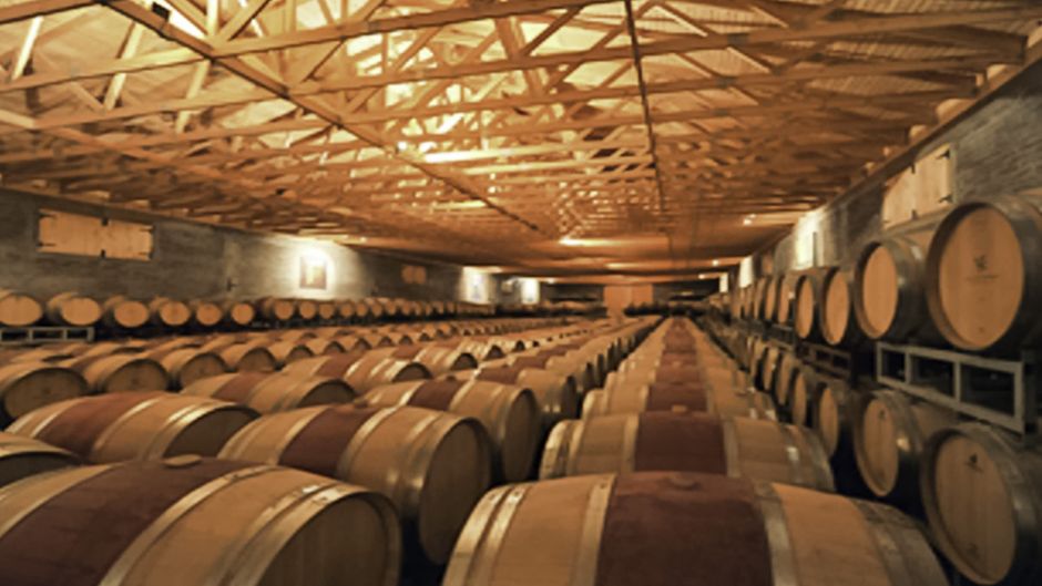 MORE PHOTOS, Portillo and San Esteban Winery, become a winemaker