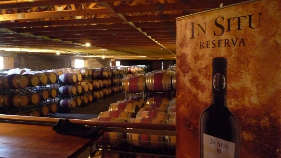 Portillo and San Esteban Winery, become a winemaker, Santiago, CHILE