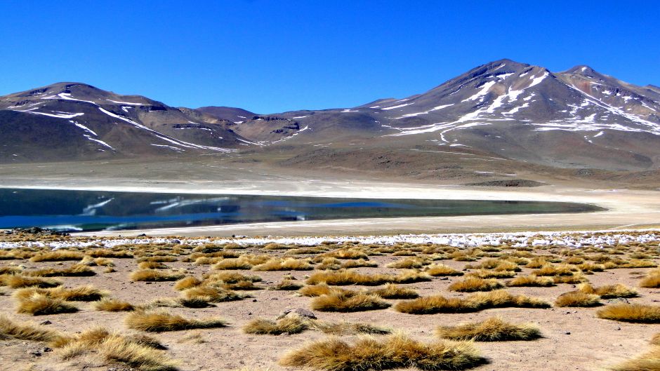 ALTIPLANIC LAGOONS - ATACAMA SALT FLAT, San Pedro de Atacama, CHILE