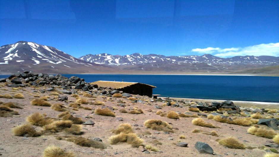ALTIPLANIC LAGOONS - ATACAMA SALT FLAT, San Pedro de Atacama, CHILE