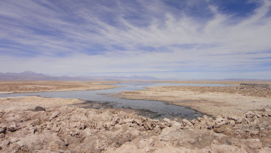 ALTIPLANIC LAGOONS - ATACAMA SALT FLAT, San Pedro de Atacama, CHILE