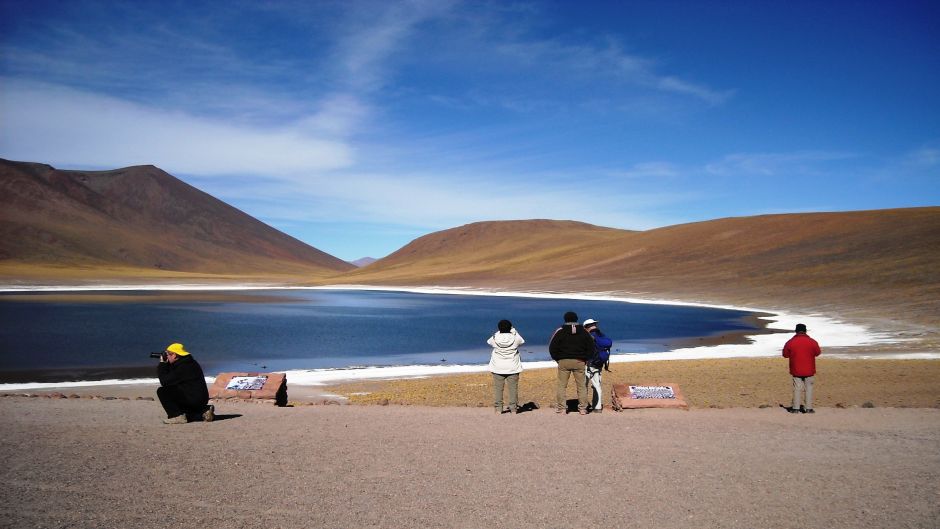 ALTIPLANIC LAGOONS - ATACAMA SALT FLAT, San Pedro de Atacama, CHILE