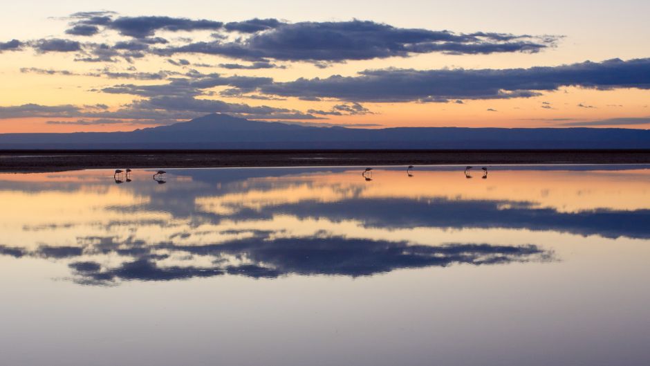 ALTIPLANIC LAGOONS - ATACAMA SALT FLAT, San Pedro de Atacama, CHILE