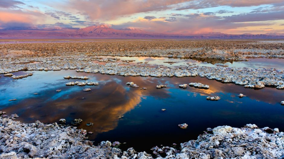 ALTIPLANIC LAGOONS - ATACAMA SALT FLAT, San Pedro de Atacama, CHILE