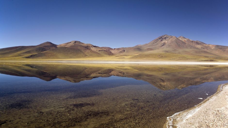 ALTIPLANIC LAGOONS - ATACAMA SALT FLAT, San Pedro de Atacama, CHILE