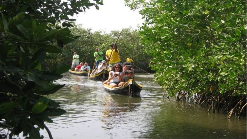 Boquilla Mangrove Morning Tour, Cartagena de Indias, COLOMBIA