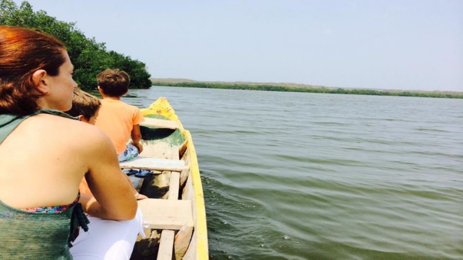 Boquilla Mangrove Morning Tour, Cartagena de Indias, COLOMBIA