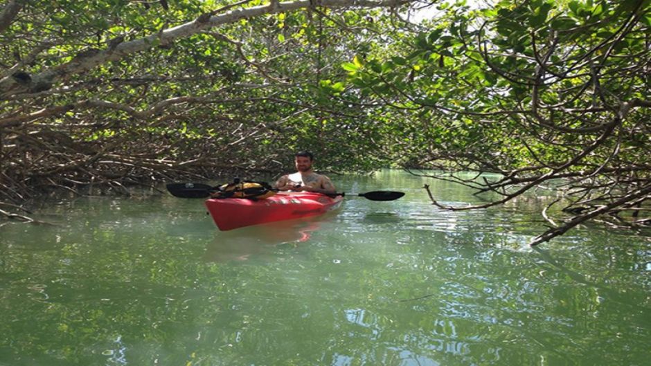 Boquilla Mangrove Morning Tour, Cartagena de Indias, COLOMBIA