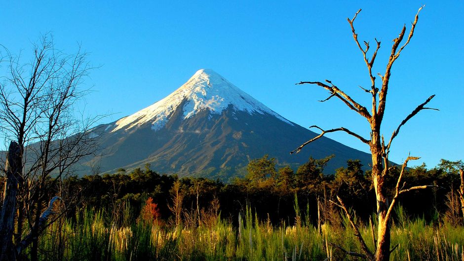 Osorno Volcano Tour and visit to craft brewery, Puerto Varas, CHILE