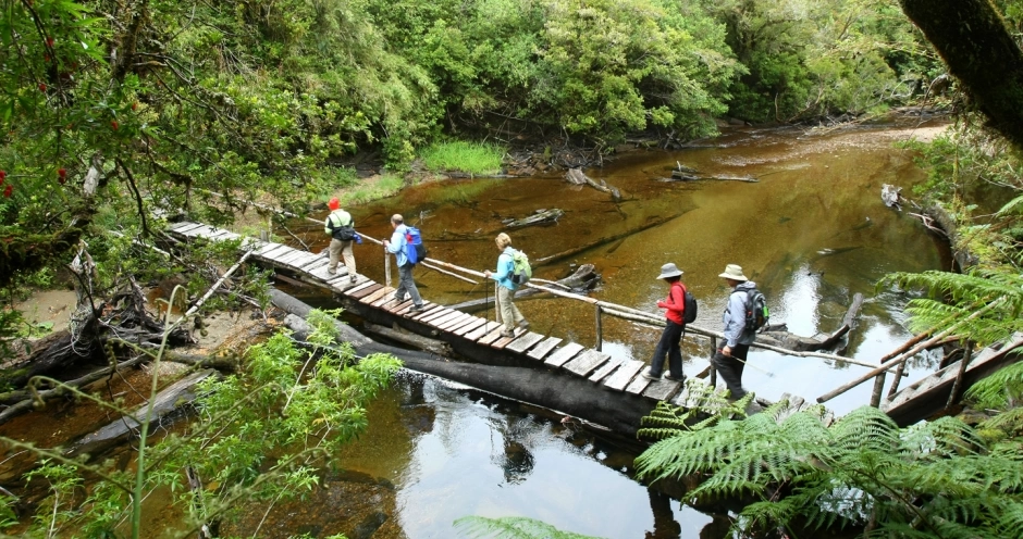 Alerce Andino National Park Tour, Puerto Varas, CHILE