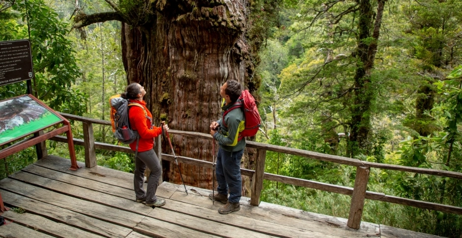 Alerce Andino National Park Tour, Puerto Varas, CHILE