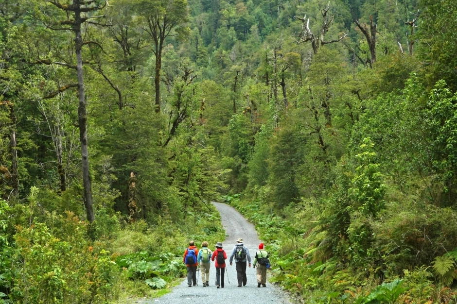 Alerce Andino National Park Tour, Puerto Varas, CHILE