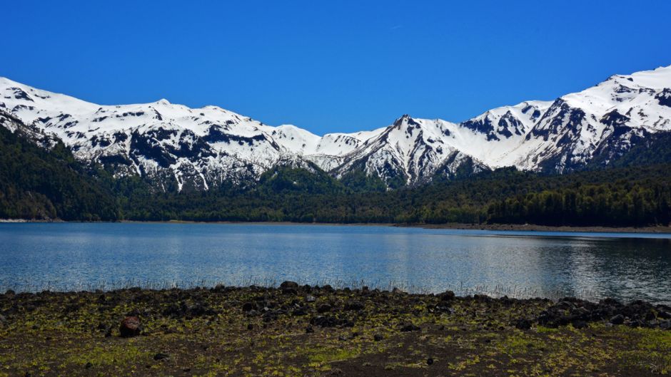 TREKKING CONGUILLIO NATIONAL PARK, Temuco, CHILE