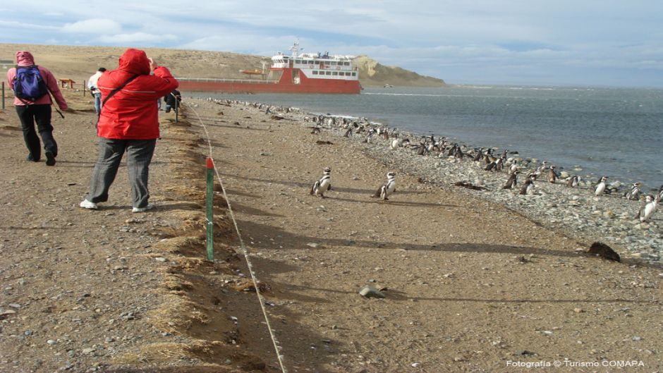 NAVIGATION TO PENGUINERAS FIORDOS DEL SUR II, Punta Arenas, CHILE