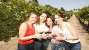 City Tour + Concha y Toro  Wine Tour, Santiago, CHILE