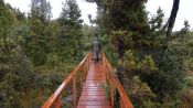 COASTAL RESERVE VALDIVIANA (COASTAL ALERCE), Valdivia, CHILE