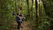 PATHWAYS OF CHUCAO - TREKKING / CANOPY, Valdivia, CHILE