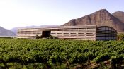 Wine Route , LimariÂ­ Valley., La Serena, CHILE
