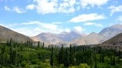 Wine Route , LimariÂ­ Valley., La Serena, CHILE