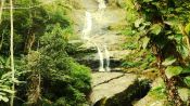 Tijuca National Park Hike, Rio de Janeiro, Rio de Janeiro, BRAZIL