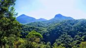 Tijuca National Park Hike, Rio de Janeiro, Rio de Janeiro, BRAZIL
