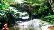 Tijuca National Park Hike, Rio de Janeiro, Rio de Janeiro, BRAZIL