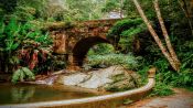 Tijuca National Park Hike, Rio de Janeiro, Rio de Janeiro, BRAZIL