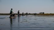 Navigating the Delta and north zone, Buenos Aires, ARGENTINA