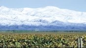 Wine Tour Uco Valley, Mendoza, Mendoza, ARGENTINA