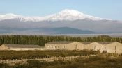 Wine Tour Uco Valley, Mendoza, Mendoza, ARGENTINA