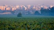 Wine Tour - Cousino Macul Vineyard, Santiago, CHILE