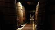 . Wine Tour - Cousino Macul Vineyard, Santiago, CHILE