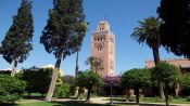 Marrakech Full-Day Tour From Casablanca, Casablanca, Morocco