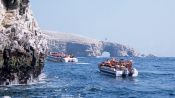 Tour to the Ballestas Islands, Paracas, PERU