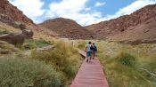 PURITAMA HOT SPRINGS, San Pedro de Atacama, CHILE