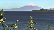 TOUR  TO THE BORDER OF LLANQUIHUE LAKE & OSORNO VOLCANO, Puerto Varas, CHILE