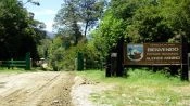 Alerce Andino National Park Tour, Puerto Varas, CHILE