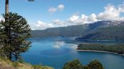 CONGUILLIO NATIONAL PARK TREKKING , Pucon, CHILE