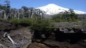 VOLCANIC CAVES, Pucon, CHILE