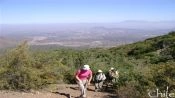 TREKKING ALTO DEL NARANJO / PROVINCIA HILL, Santiago, CHILE