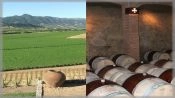 WINE TOUR - COLCHAGUA VALLEY, Santiago, CHILE