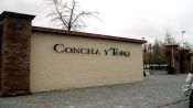 CONCHA Y TORO WINERY TOUR, Santiago, CHILE