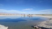 CEJAR LAGOON - SALAR EYES , TEBENQUICHE, San Pedro de Atacama, CHILE