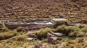 PURITAMA HOT SPRINGS, San Pedro de Atacama, CHILE