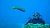 DIVING - INITIATIONBAPTISM ON EASTER ISLAND, Easter Island, CHILE