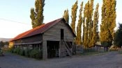 Excursion to Chiloe, visiting Ancud, Caulin and Lacuy, Puerto Varas, CHILE